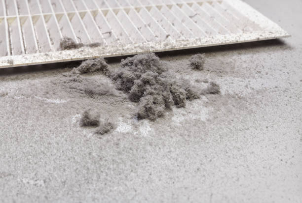 Best Local Air Duct Cleaning Services  in Glouster, OH